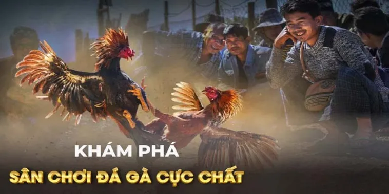 Cách Chơi Đá Gà GA28 Tại 007Win: Bí Kíp Soi Kèo Đỉnh Cao