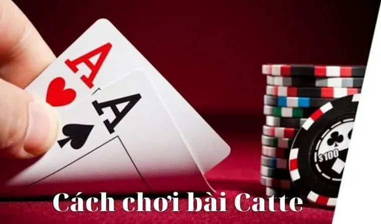Hướng Dẫn Cách Chơi Sắc Tê Nhà Cái 007Win Thắng Lớn Cho Người Mới